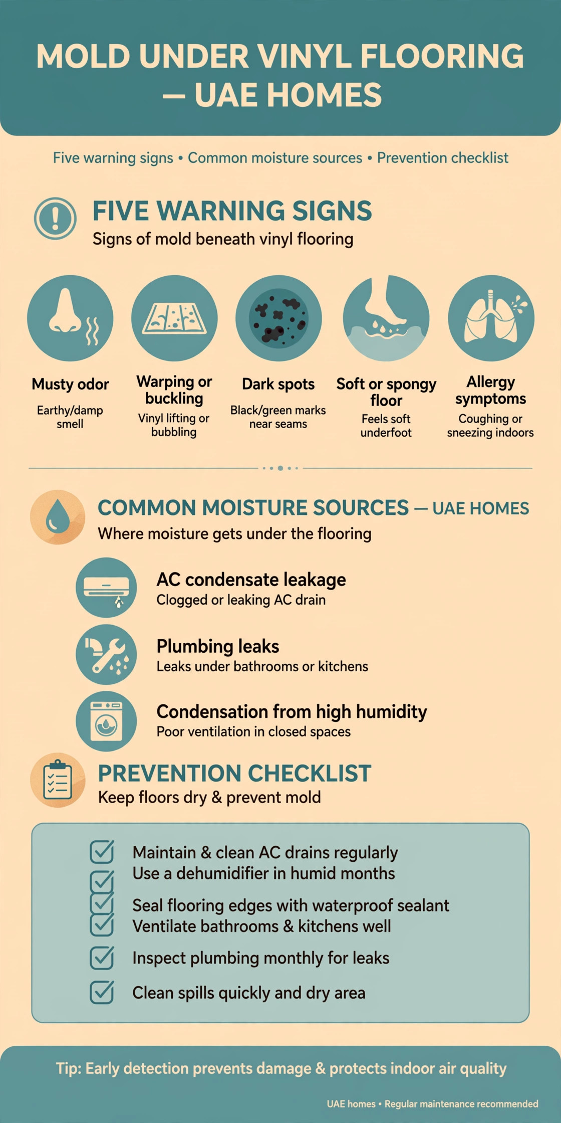 Infographic: Mold Under Vinyl Flooring in UAE Humidity: Causes, Fixes, and Prevention